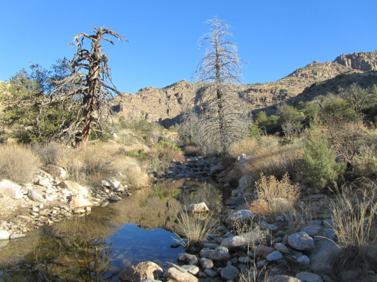 AZT Day 13: Up, Up and Away!