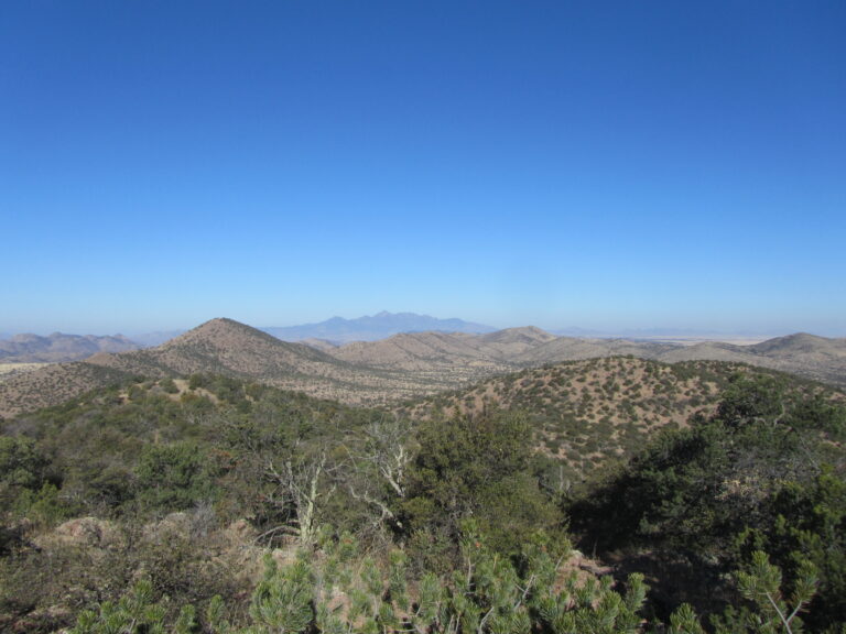 AZT Day 3: Canelo Hills