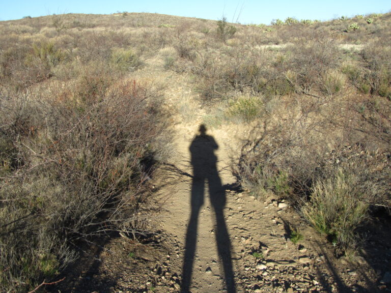 AZT Day 8: Nearing Tucson