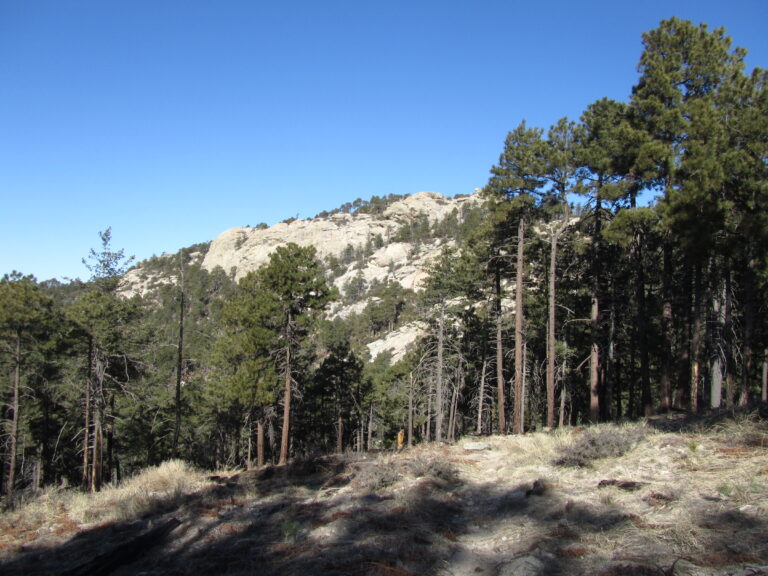 AZT Day 11: Down, Down to Redington Road