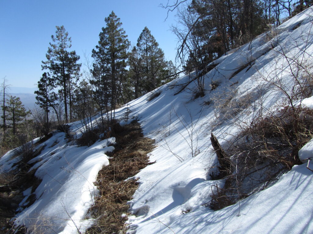 Arizona Trail