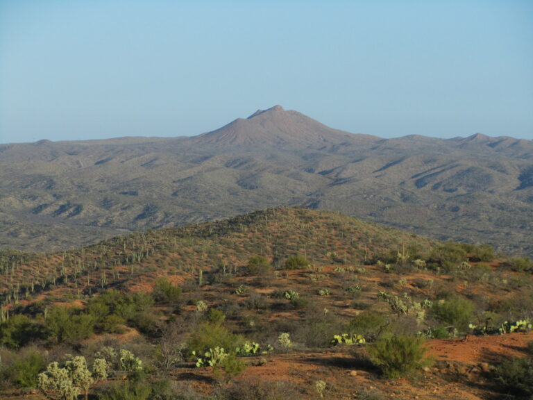 AZT Day 16: Antelope Peak, Bees and Cactus
