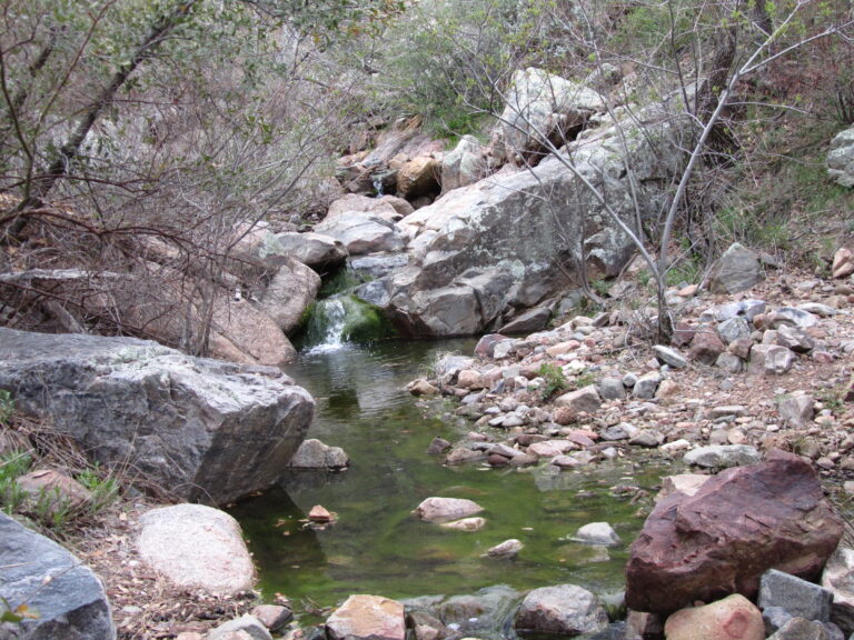 AZT Day 25: Four Peaks to Sycamore Creek