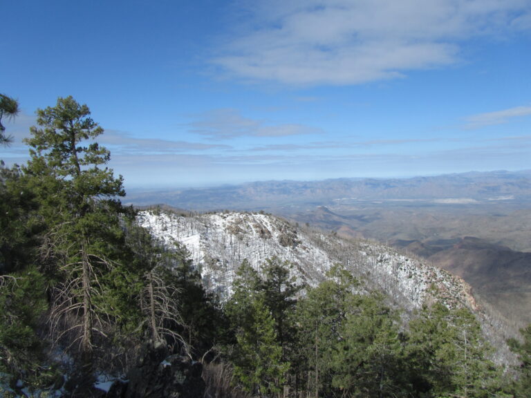 AZT Day 28: Rest of Mazatzal Divide