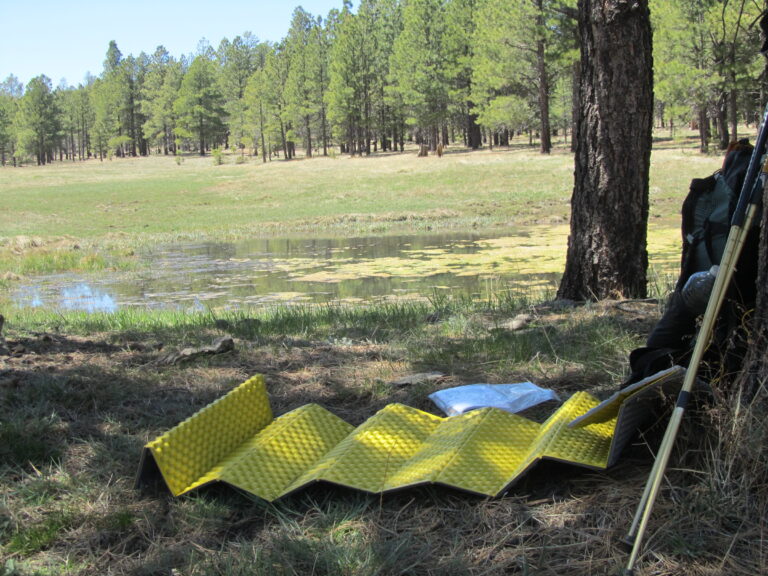 AZT Day 34: Mogollon Plateau, Jack’s Canyon