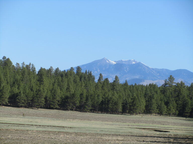 AZT Day 36: Anderson Mesa to Walnut Canyon