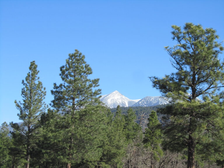 AZT Day 38: San Francisco Peaks