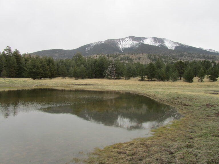 AZT Day 39: Babbitt Ranch