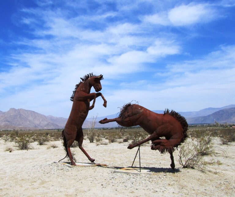 PCT Day 6: Zero Day in Julian