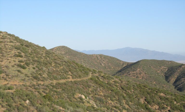 PCT Day 8: Warner Springs & On