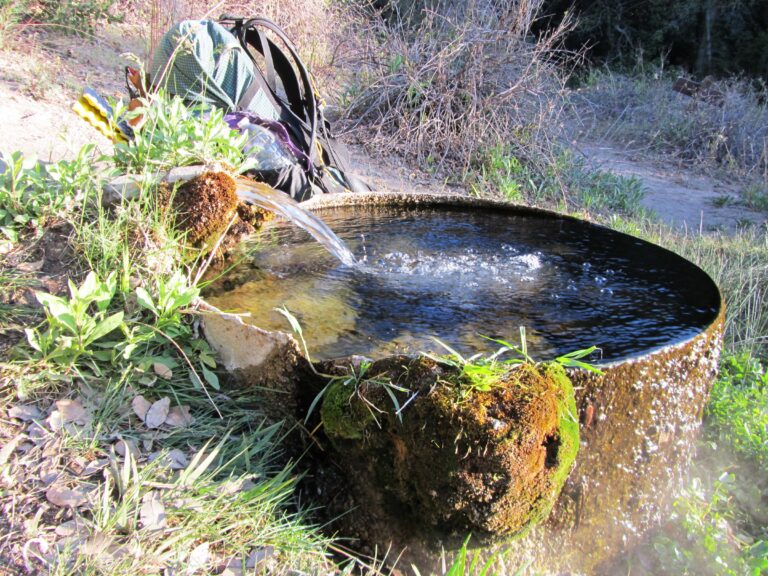 PCT Day 11: San Jacinto Wilderness