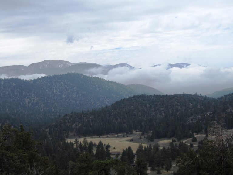 PCT Day 17: San Bernardino Mtns