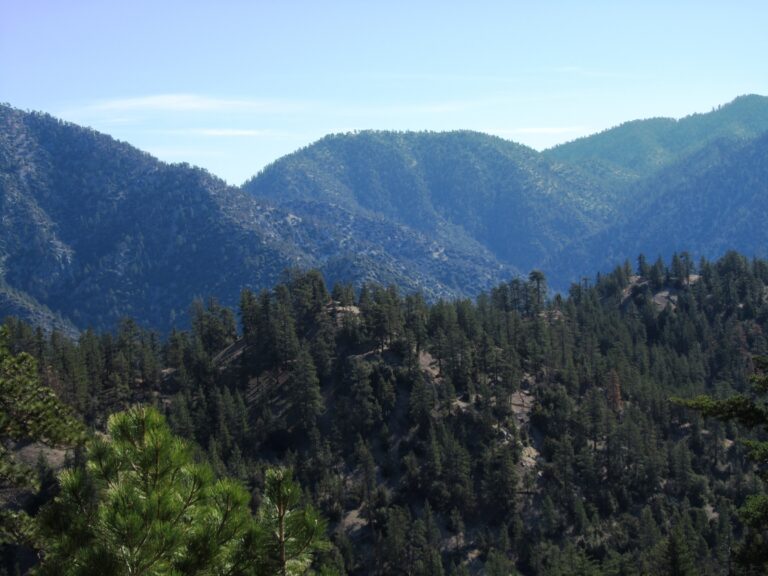 PCT Day 27: Angeles Crest & Mill Creek