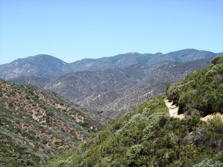 PCT Day 31: Grass Mtn & Sawmill Mtn