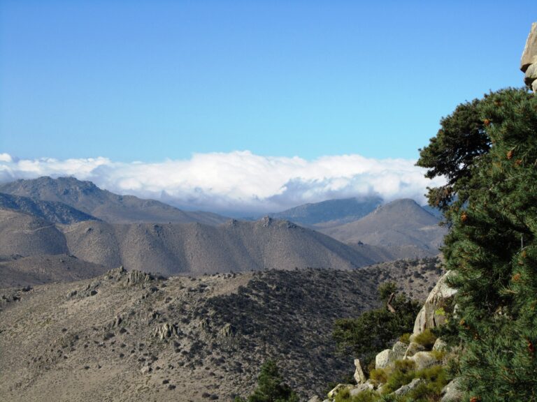 PCT Day 38: First Sierra Views & Walker Pass