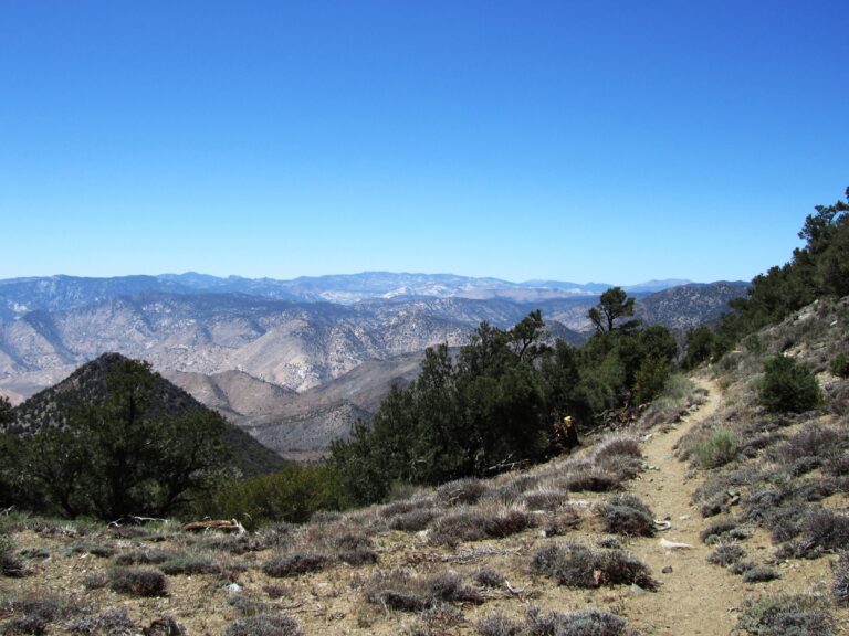 PCT Day 40: Owen Peak & Spanish Needle