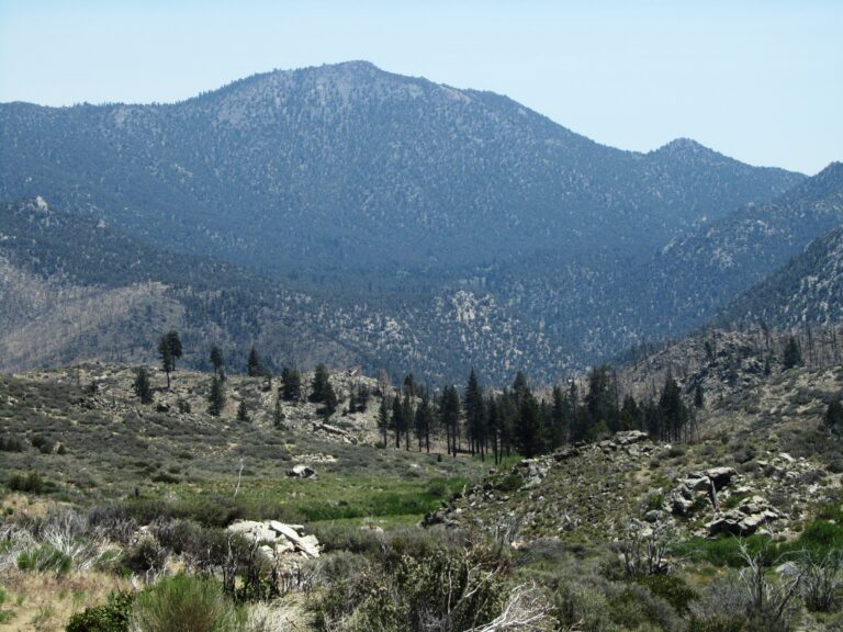 PCT Day 43: South Sierra Wilderness