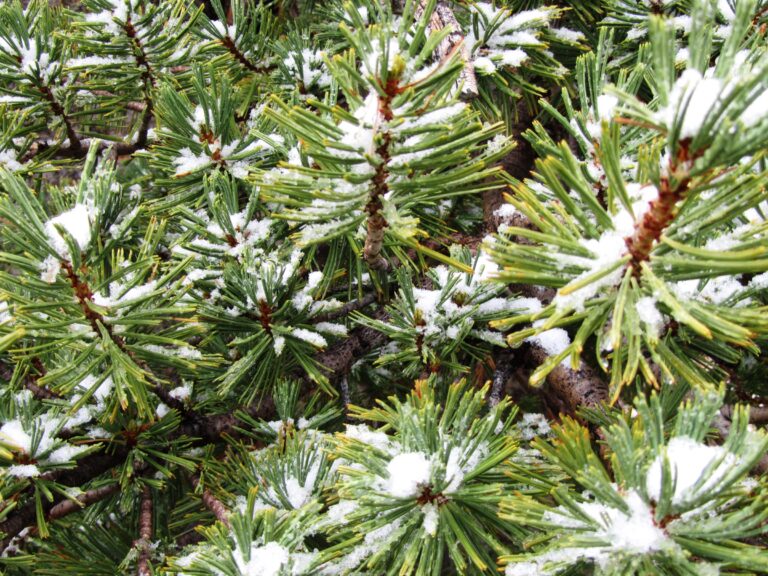 PCT Day 50: Glenn Pass & Rae Lakes