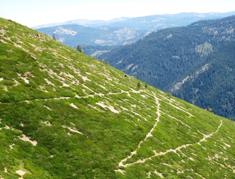 PCT Day 74: Sierra Buttes
