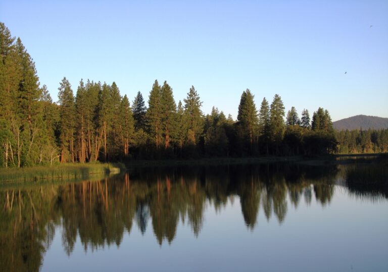 PCT Day 84: Burney Falls and Beyond