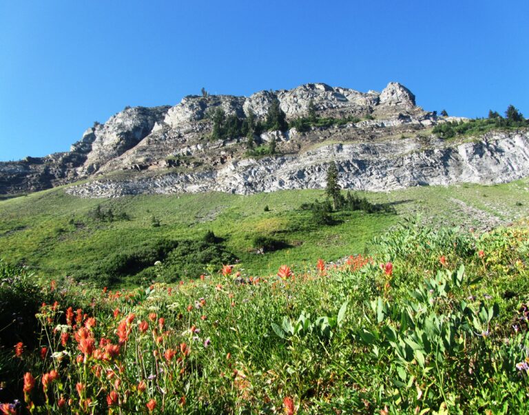 PCT Day 94: Marble Mountain to Seiad Valley