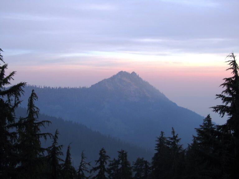PCT Day 96: Oregon Border to Mt Ashland