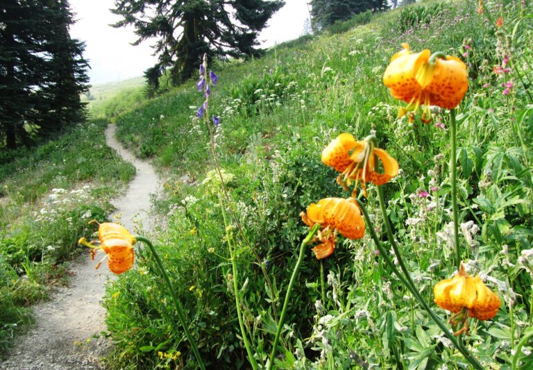 PCT Day 97: Strolling into Ashland, Oregon