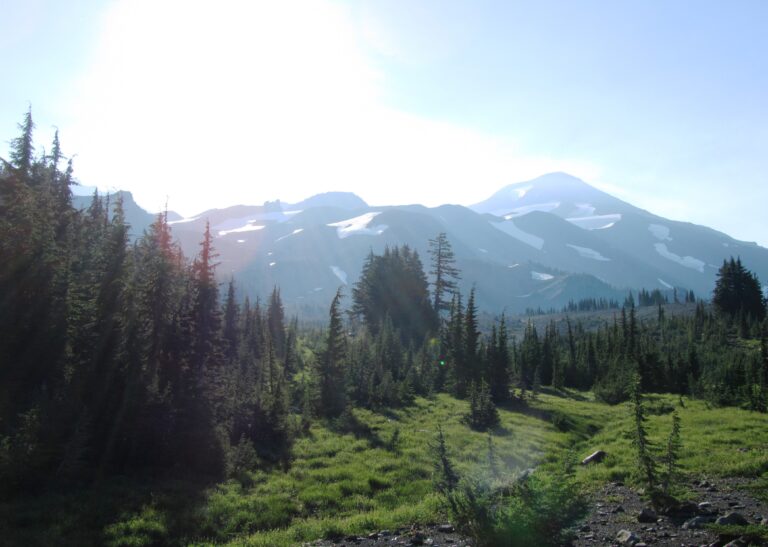 PCT Day 109: Sisters Wilderness to McKenzie Pass