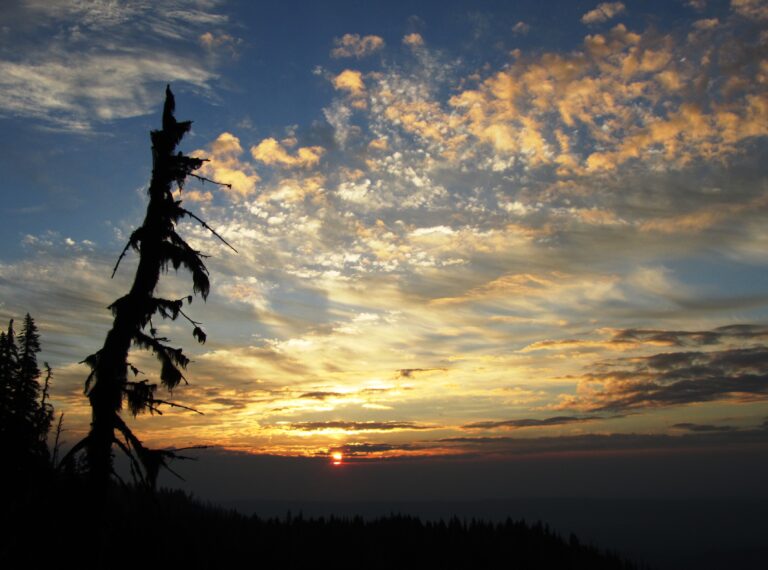 PCT Day 112: Mt Jefferson Wilderness