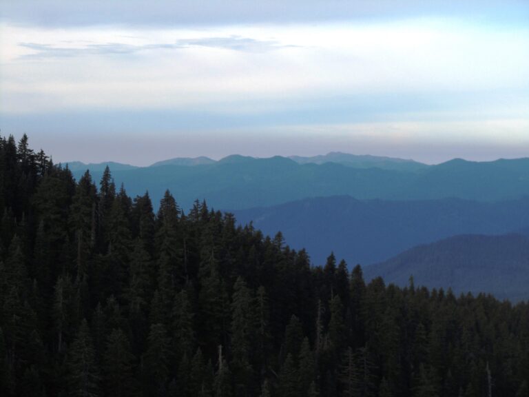 PCT Day 121: Indian Heaven Wilderness