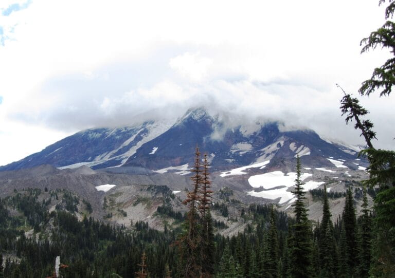 PCT Day 122: Mt Adams Wilderness