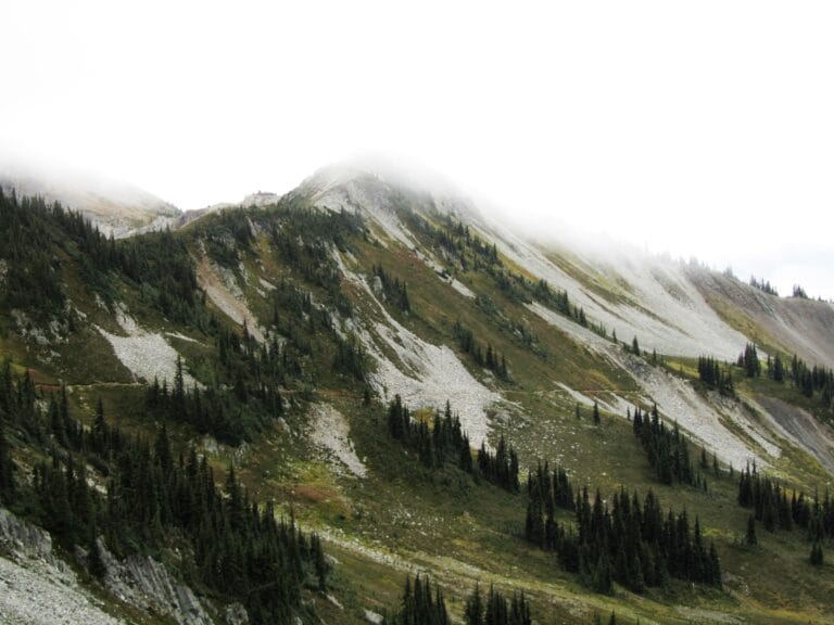 PCT Day 143: Woody and Castle Passes