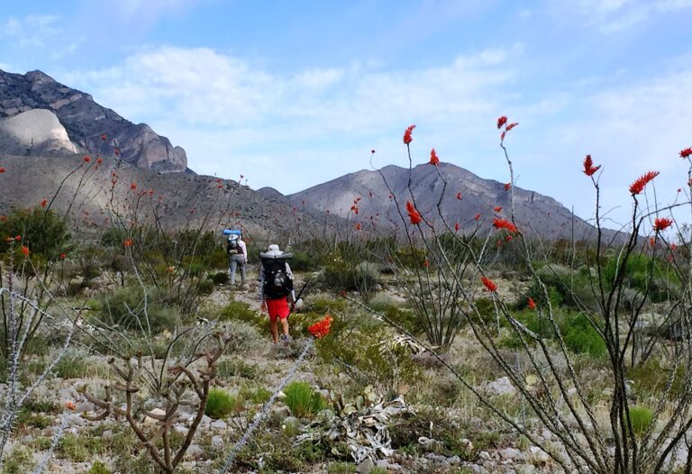 CDT Day 2: Hatchet & Little Hatchet Mountains