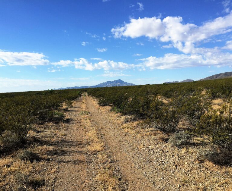 CDT Day 3: BP Visit & Coyote Hills