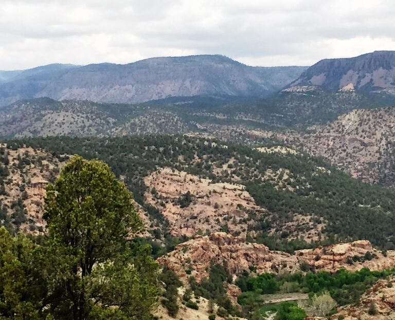CDT Day 12: Gila River Canyon