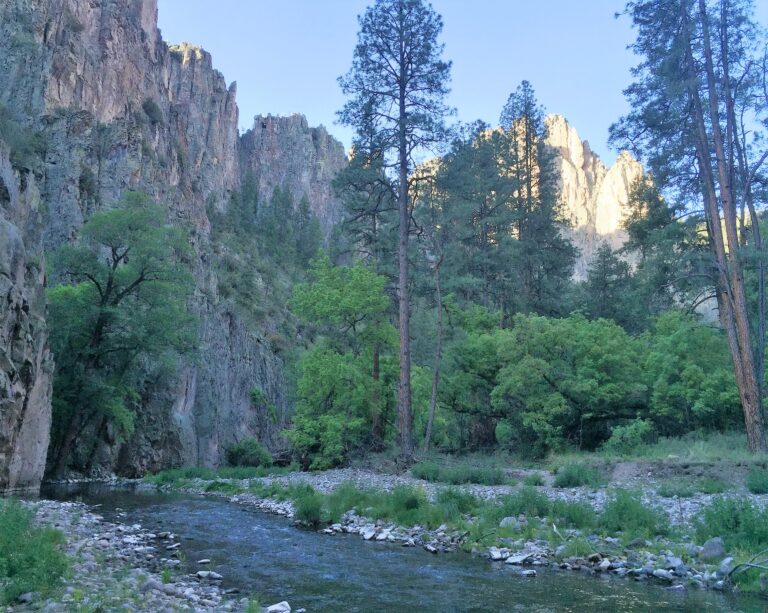 CDT Day 14: Upper Gila River