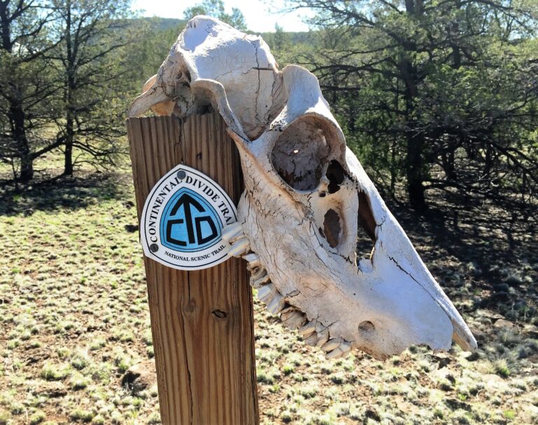 CDT Day 19: Apache NF & Mangas Mountain