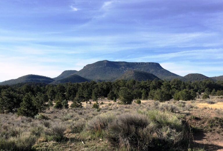 CDT Day 20: Pie Town NM