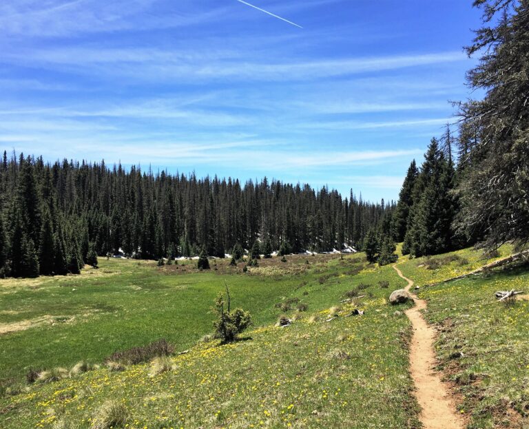 CDT Day 31: San Pedro Parks Wilderness