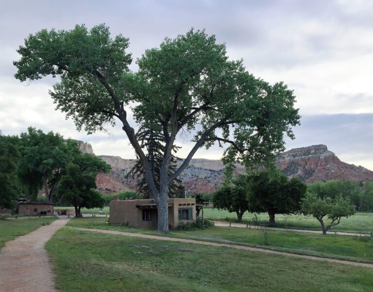 CDT Day 34: Mesa Montoso & Carson NF