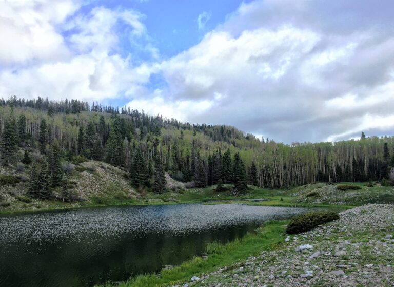 CDT Day 35: Carson National Forest