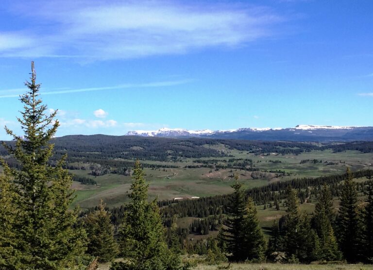 CDT Day 37: Lagunitas Lake to Cumbres Pass