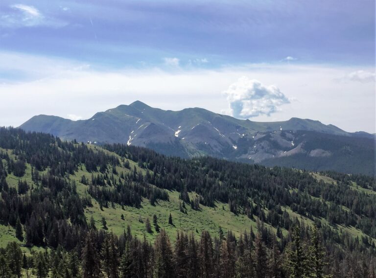 CDT Day 56: On the Divide to Marshall Pass