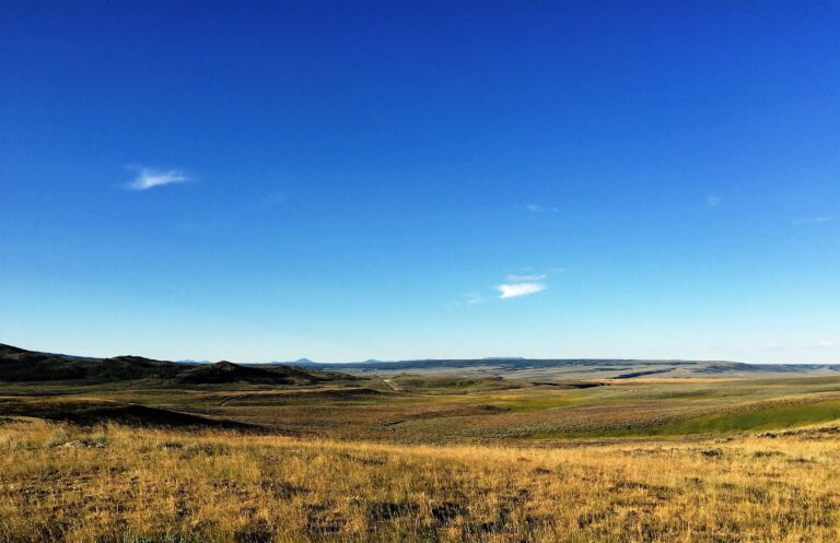 CDT Day 84: Big Muddy & Bridger Pass