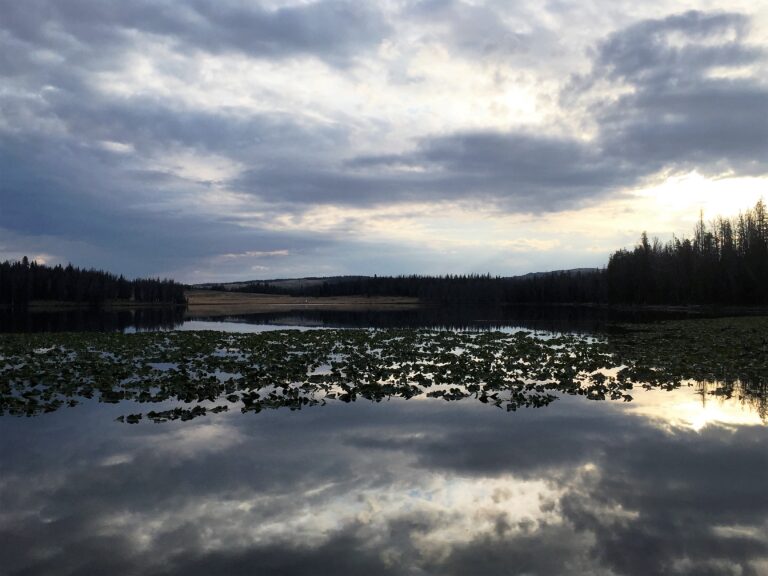 CDT Day 99: Lake of the Woods & Fire Re-Route