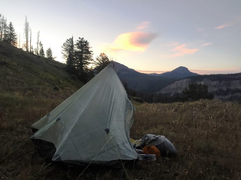 CDT Day 103: Buffalo Rivers & Two Ocean Pass