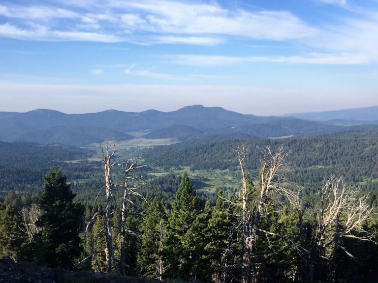 CDT Day 111: Peat Creek Divide & Stampede