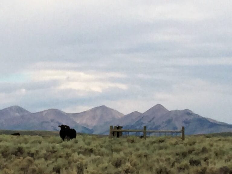 CDT Day 113: The Rollercoaster