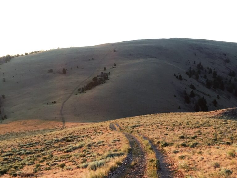 CDT Day 117: Elk Mtn & Down to Bannock Pass