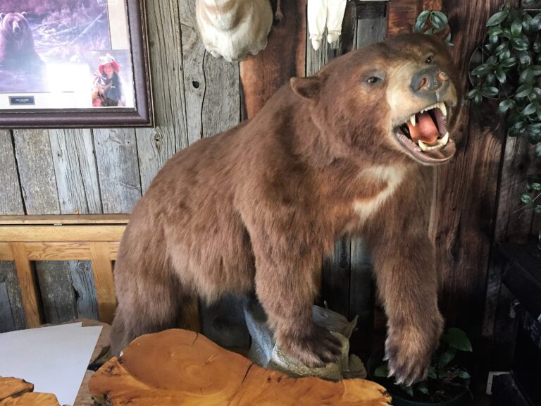 CDT Day 118: Zero Day in Leadore ID